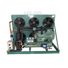 Low Temperature Cold Storage Compressor Cold Room Freezer 380V Voltage