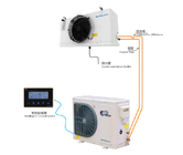 DCF030AM Electronic expansion valve control cooling fast, high efficiency SCROLLTECH CONDENSING UNIT + UNIT COOLER