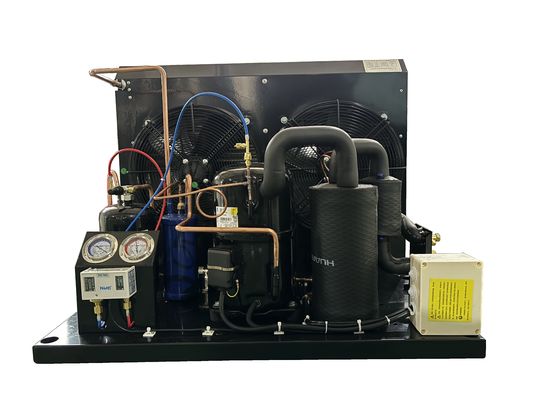 TAG2516Z 4HP Tecumseh Refrigeration Condensing Unit 380V