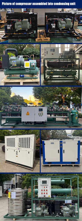 2HP에서 50HP까지 중국에서 제조된 제조자 지원 주문형 저렴한 냉장고 냉장고 압축기 반 гермети적 피스톤 압축기 냉장고 압축기 냉장고 시스템 산업 냉장고