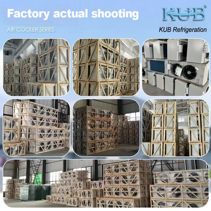 DL 시리즈 DL22 단위 냉장고 CE 인증 맞춤형 공기 냉장고 3HP 냉장고 증발기 천장 증발기, 창고 냉장고, 냉장고 방, 채소 냉장고에 적합