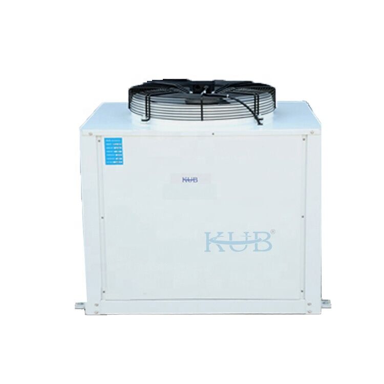 KUB DL-55 SLDL40 고품질 CE 인증 신뢰성 4HP 양면 윙 아웃 공기 냉각 기계 공기 냉각기 중국에서 만든
