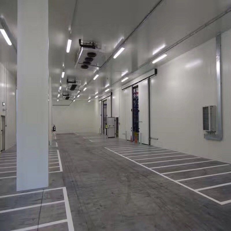 고기 감자 식물성 beaf 찬 방 공기 냉각기를 위한 새로운 저온 저장 방